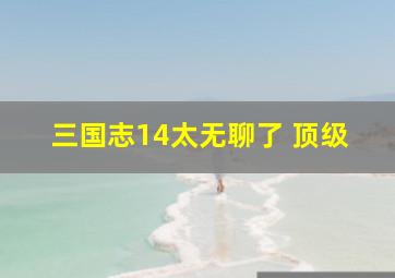 三国志14太无聊了 顶级